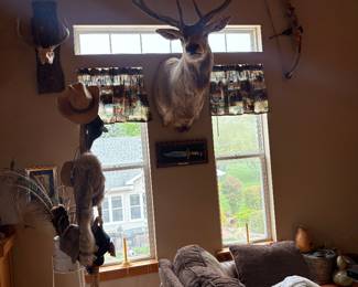 Large Elk Mount