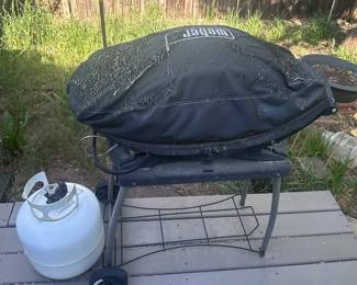 g Propane Grill