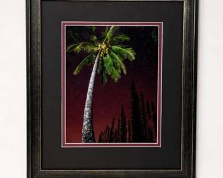 119 AbeKowzStarlitPalmFramedPhotographyPrintArt