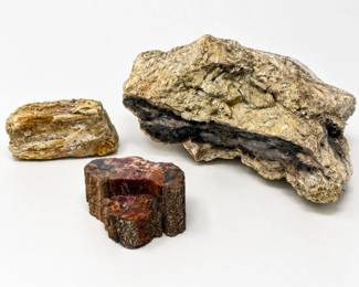 128 LargePetrifiedWoodSpecimenLotNaturalFossilDecor
