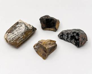 36 MixedPetrifiedWoodMineralSpecimenRockLot