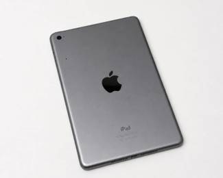 41 AppleiPadMini4SpaceGraywTargusCase