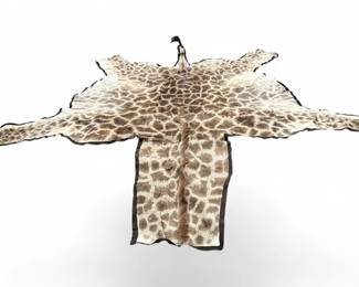 Authentic giraffe skin taxidermy rug
