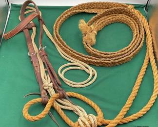 98 Western warmup Loping bridle