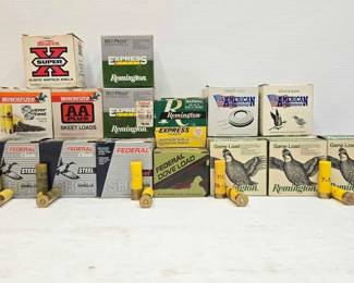 1306 20ga Shotgun Shells