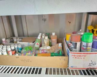 4502 Acrylic Paint and Spraypaint