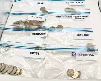 Foreign Coin Mystery Lot