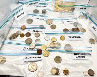Foreign Coin Mystery Lot