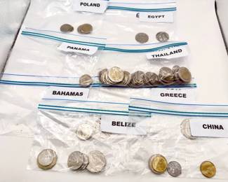 Foreign Coin Mystery Lot