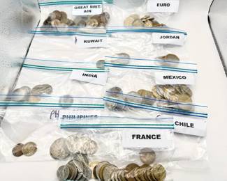 Foreign Coin Mystery Lot