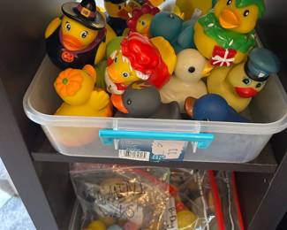 Ducks