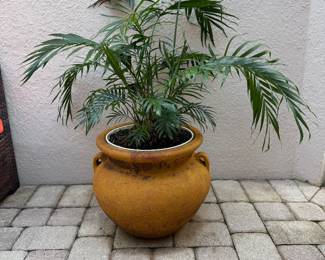 Large stone planter with plant