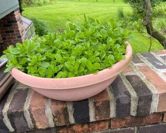 Planter