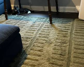 Revel Rug 10 x 14 Feet