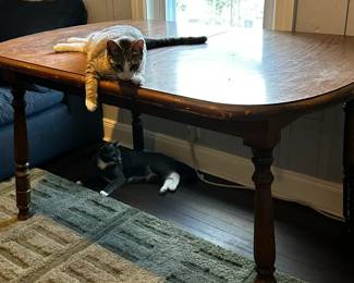 Vintage Wooden Table 4.5 x 2.5 Feet
