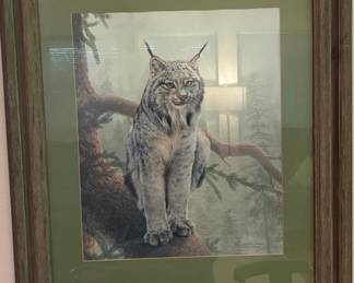 Charles Frace Lynx in the Pines Limited Edition Print