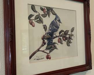 Blue Jay with Canada Plum Lithograph by Maggie Coles Limited Edition or
