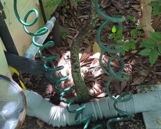 Dramm Coiled Garden Hose with Sprayer Nozzle