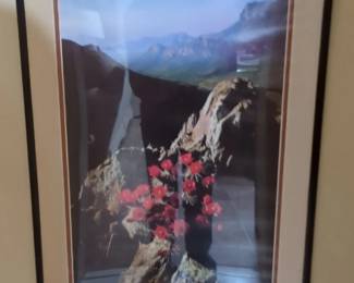 Desert Landscape with Cactus Flowers Framed Print