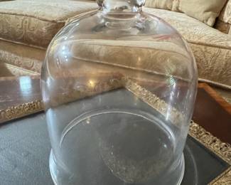 Glass Cloche with Knob