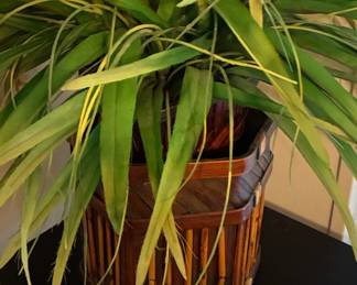 Artificial Bamboo Plant in Woven Basket