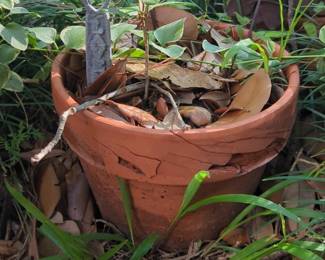 Cracked Terracotta Planter with HeartShaped Garden Marker