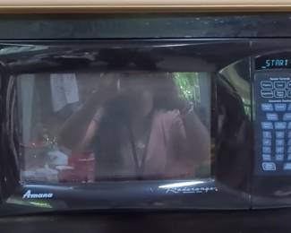 Amana Radarange Microwave Oven