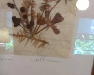 Framed Botanical Art Print by J. Vollman second image