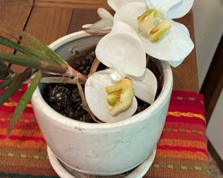 Artificial White Phalaenopsis Orchid Plant in Crackled Glaze Ceramic Pot