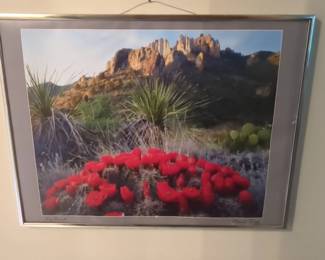 Southwestern Desert Landscape Photograph Big Bend