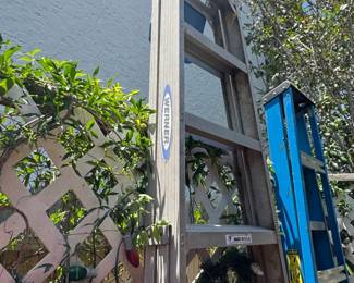 Werner ft. Aluminum Step Ladder second image
