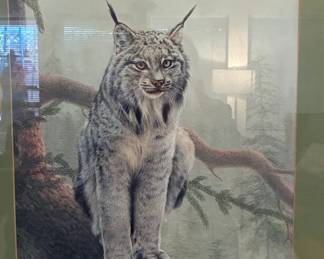 Charles Frace Canada Lynx Signed Limited Edition Print