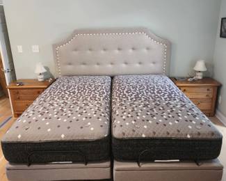The Structures S750 Adjustable Vase Bed, A split king, Thus is a luxury bed!!! It also messages you