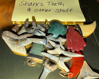 Sharks Teeth and Other STUFF! :)