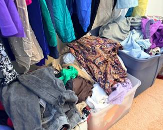 Closet of clothing and bin