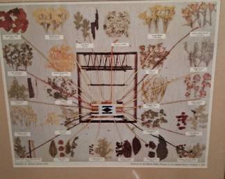 Framed Navajo Dye chart print by Ella Myers