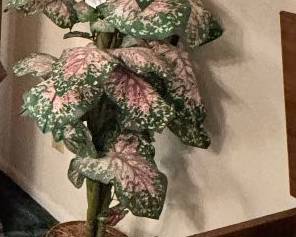 Faux Plants