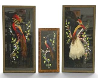 Three Feather Bird Artworks