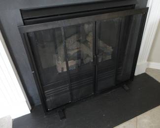 Fireplace Screen (we have 2 models)