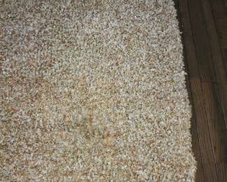 Shag rug