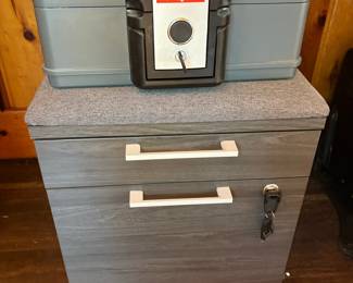 Honeywell Fire and Water Resistant Safe