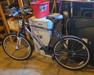 Diamondback Outlook Mountain Bike