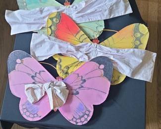 Butterfly Wings Costume Set