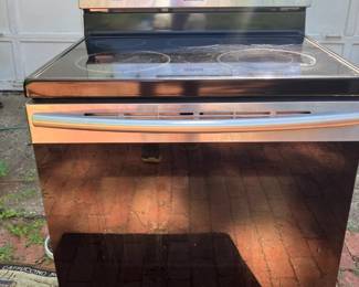 Samsung electric stove