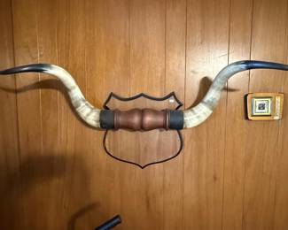 Mounted Cow Horns