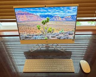 HP All-in-One 24-inch Desktop Computer