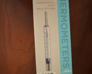 Equate Mercury-Free Glass Thermometer