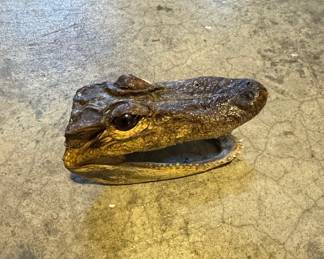 Taxidermied Alligator Head