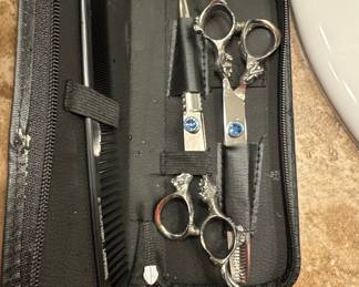 Dragon Handle Hair Cutting Shear Set with Comb and Case