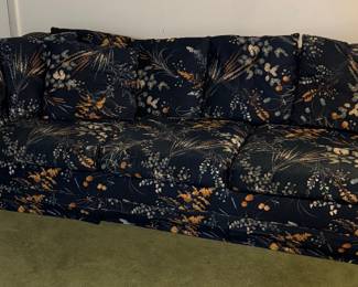 Sleeper Sofa